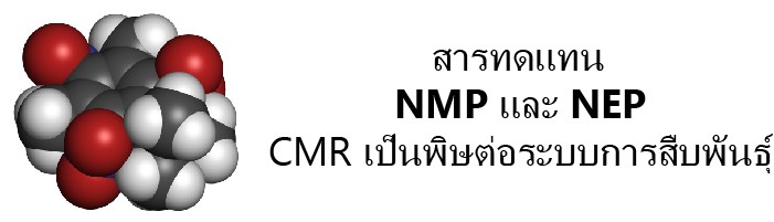 นักออกแบบและผู้ผลิตสารตัวทำละลายชาวฝรั่งเศส ไม่มีรูปสัญลักษณ์อันตราย สารทดแทน CMR สารตัวทำละลาย น้ำยาทำความสะอาด สารเจือจาง สารตัวทำละลาย นำ้ยาลอก น้ำยาขจัดปนเปื้อน